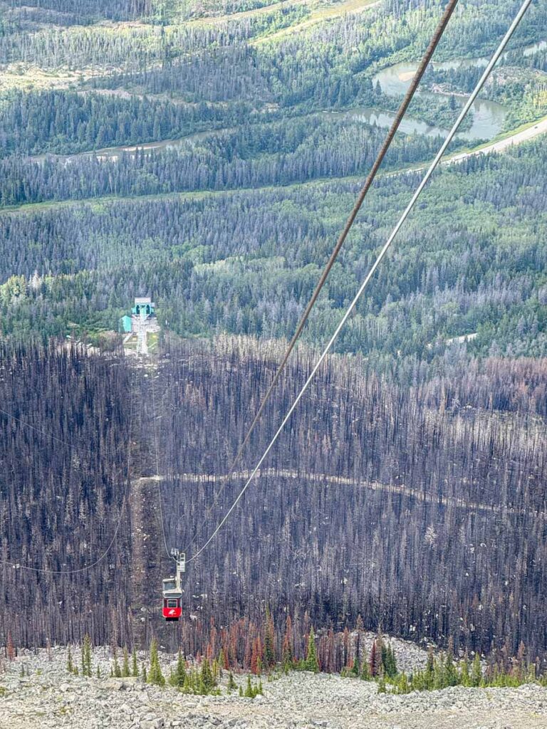 An aerial view of the Jasper SkyTram over the area of the 2024 wildfires in Jasper.