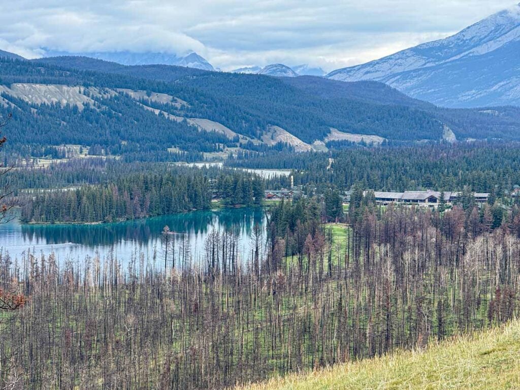 Beauvert Lake seen from the Old Fort Point hike near the Jasper townsite.