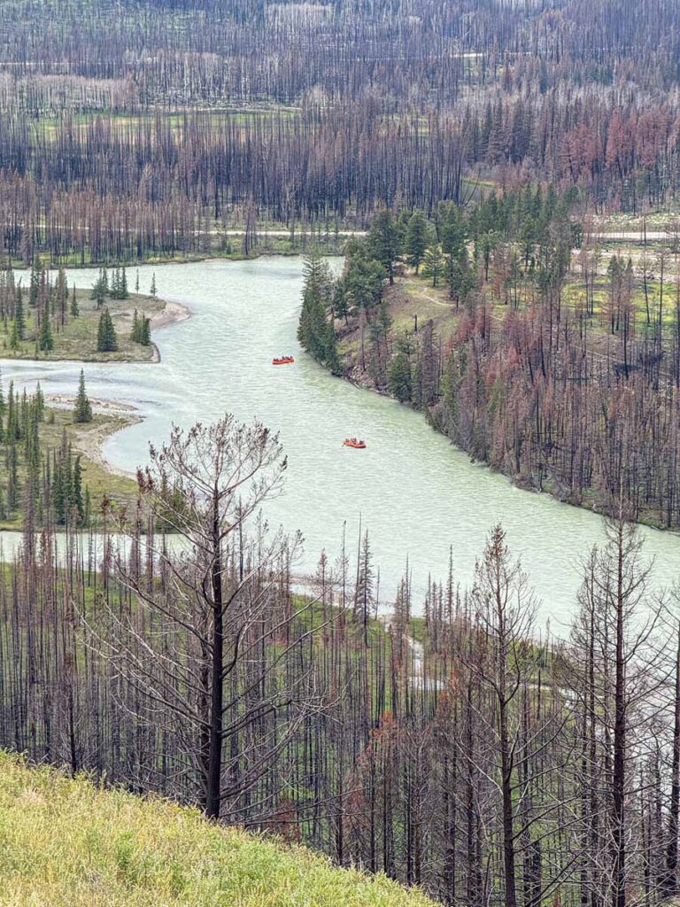 Two rafts float down the Athabasca River - as seen from the Old Fort Point Loop trail.
