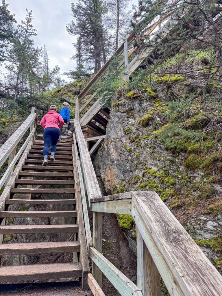 A family begins the Old Fort Point hike - an easy hike near the Jasper Townsite.