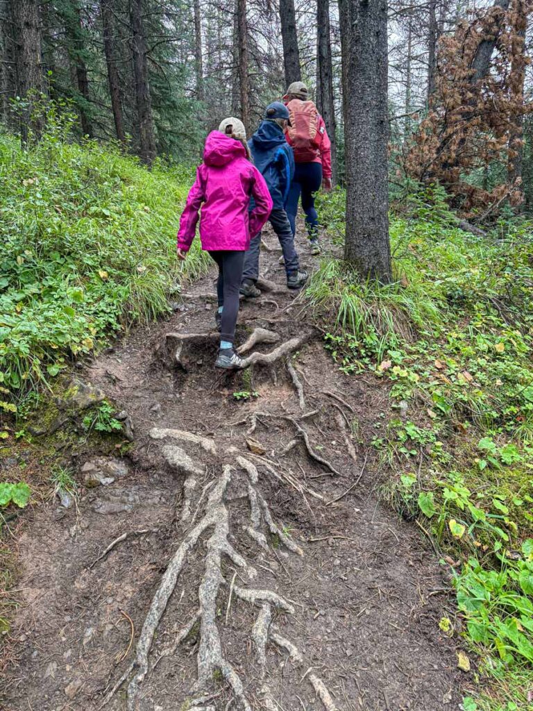 The Brewer family enjoys a good workout on the steep uphill sections of the Opal Hills Loop trail in Jasper.