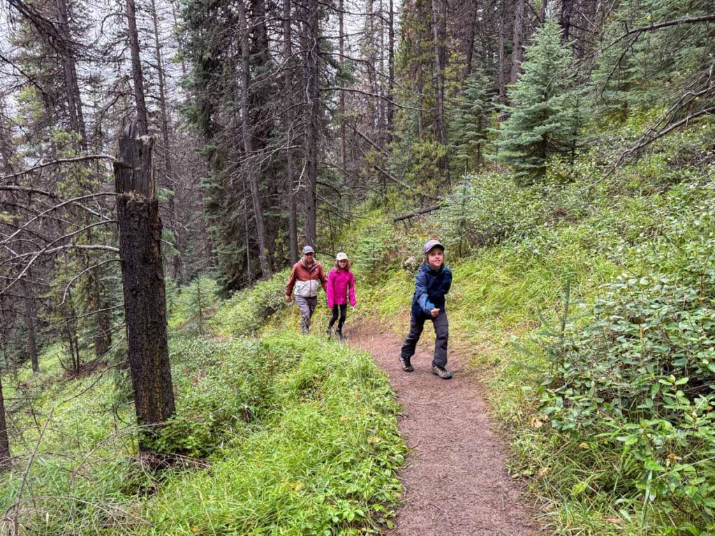 The Brewer family hikes up a challenging section of the Opal Hills Loop hiking trail in Jasper National Park.
