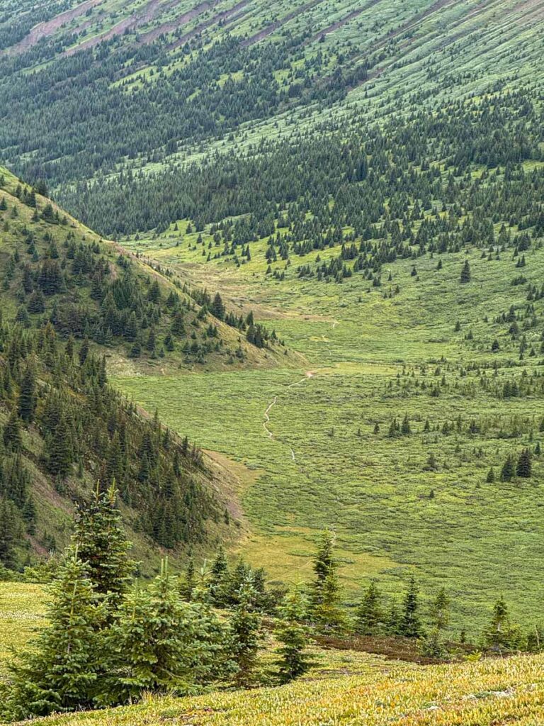 Descending from the Maligne Lake viewpoint, the Opal Hills Loop trail is visible ahead through a lush green valley.