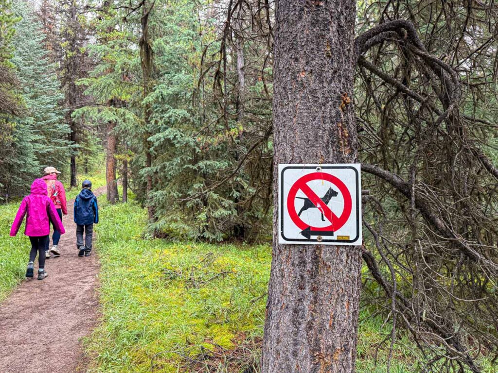 a no dogs allowed sign at the trailhead for the Opal Hills Loop hike.