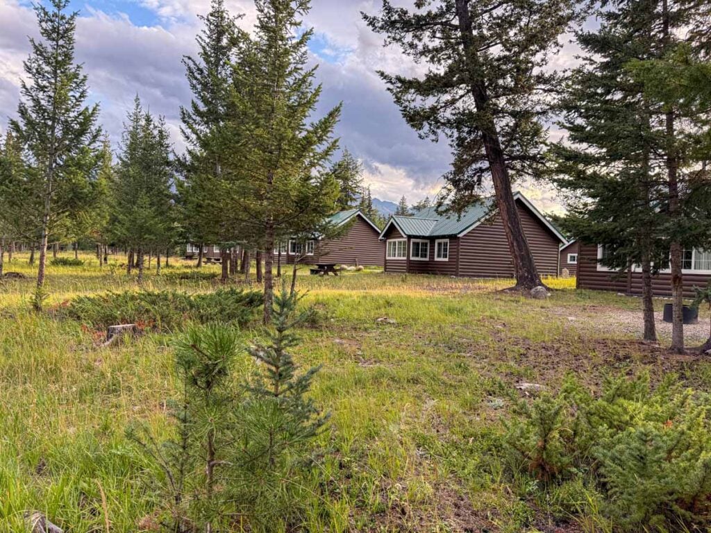 The Pine Bungalows are a collection of charming cabins in the woods in the Town of Jasper, Canada.