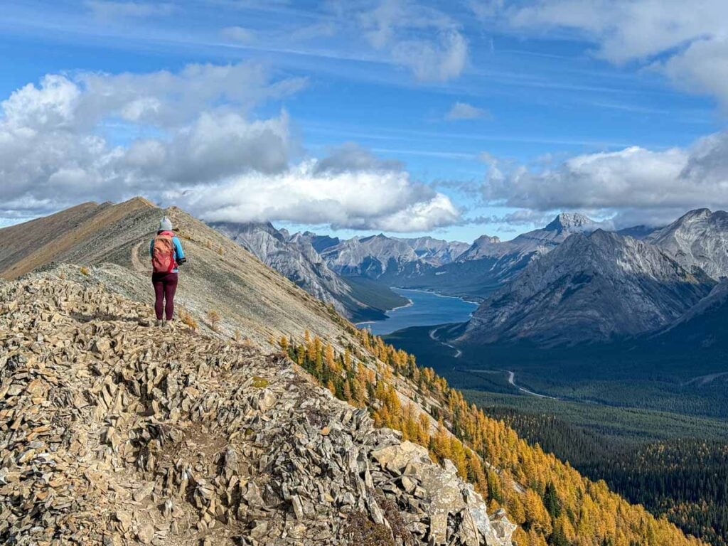 Celine Brewer, owner of TravelBanffCanada.com, hikes along Tent Ridge looking down on a large forest of golden larch trees.