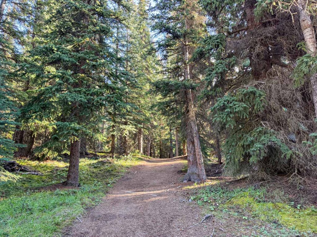 The beginning of the Wilcox Pass Trail to the Red Chairs.