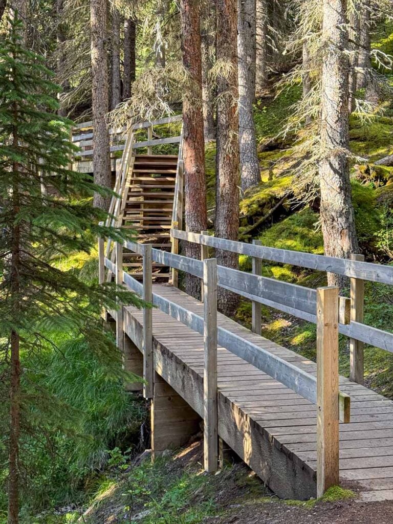 A long, multi-level wooden bridge in the forest along the Wilcox Pass Trail to the Red Chairs.