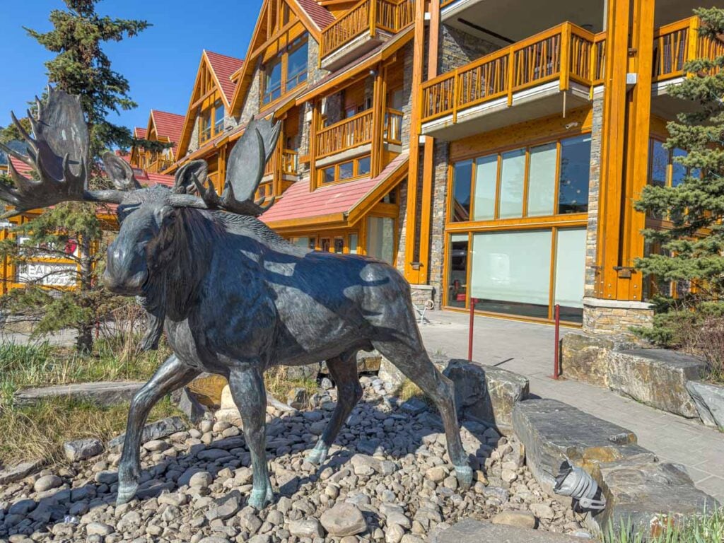 A large moose sculpture in front of the Moose Hotel in downtown Banff.