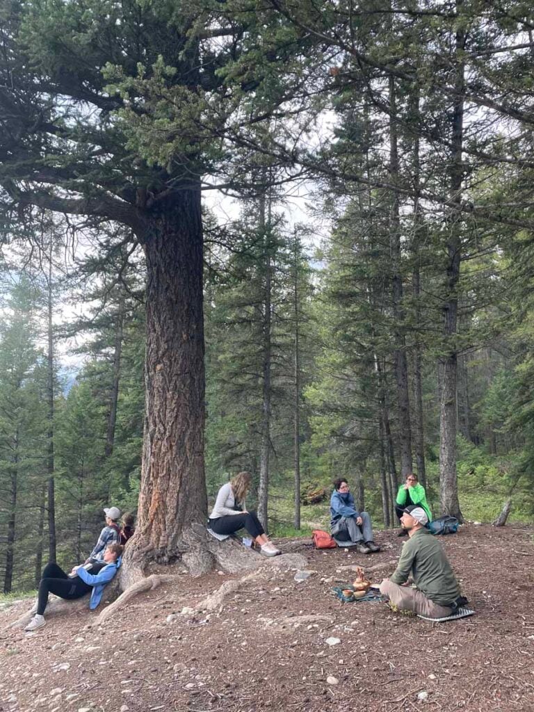 Scott Horsely, lead guide for Among the Trees Canada, leads a group in an immersive nature experience in Banff.