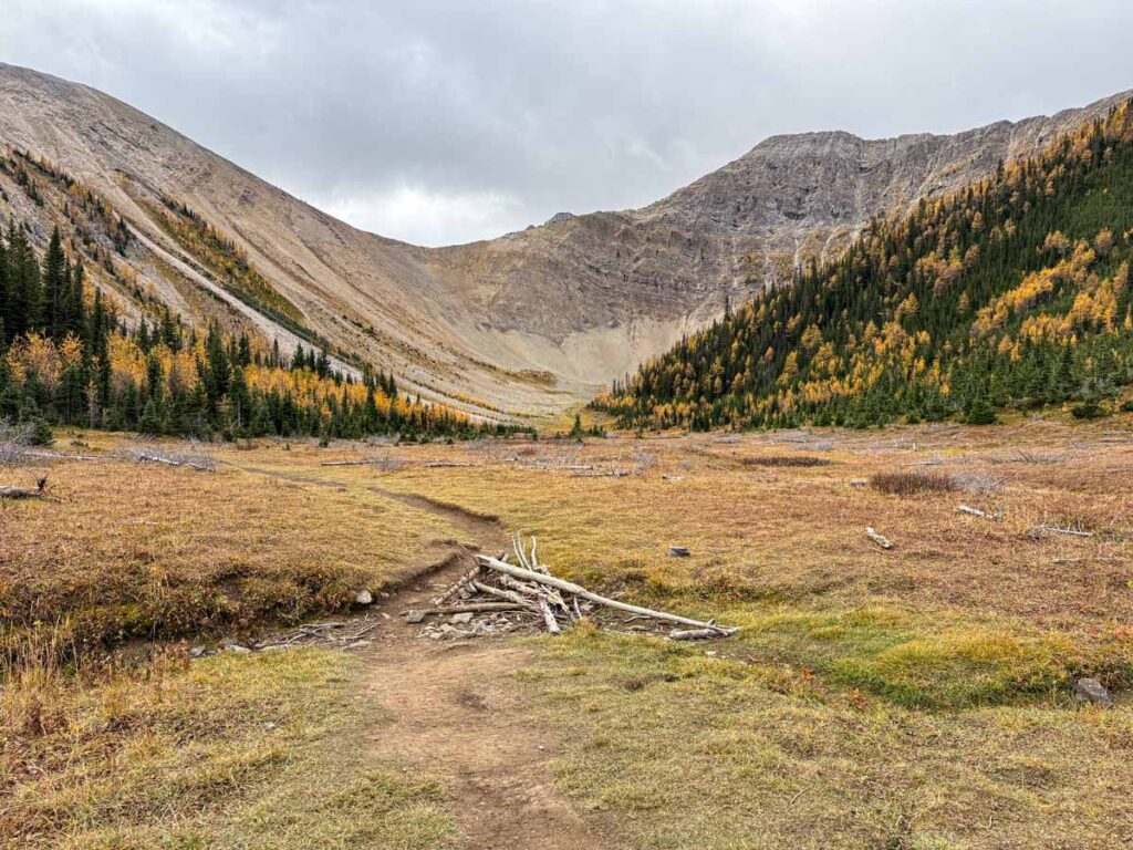 The south and east sections of Tent Ridge seen from a meadow in Kananaskis Country, Alberta.