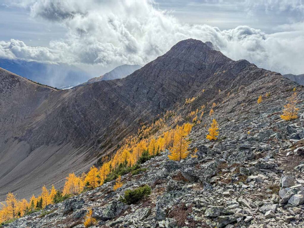Looking back at the summit of the Tent Ridge Horseshoe hike in Kananaskis Country.
