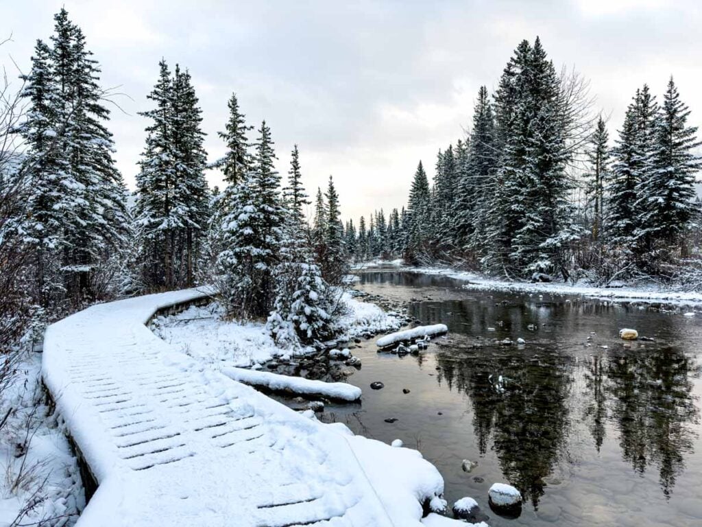 A snow-covered boardwalk at Policeman's Creek in Canmore, Alberta.
