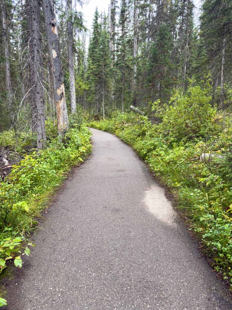 The accessible paved trail on the western shore of Emerald Lake.