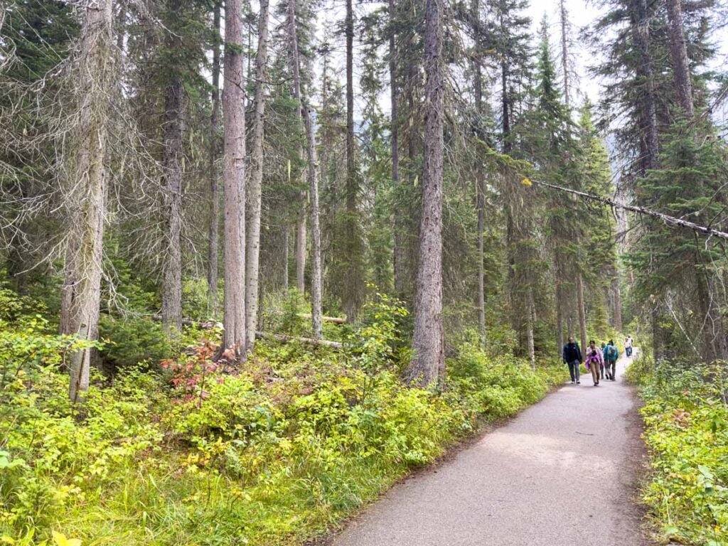 The western leg of the Emerald Lake Lakeshore Trail is paved and accessible.