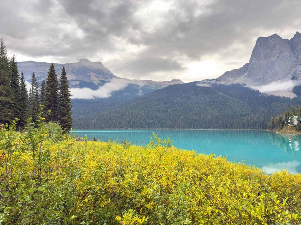 Shrubs grow inside the avalanche track on the Emerald Lakeshore Trail in Yoho National Park.