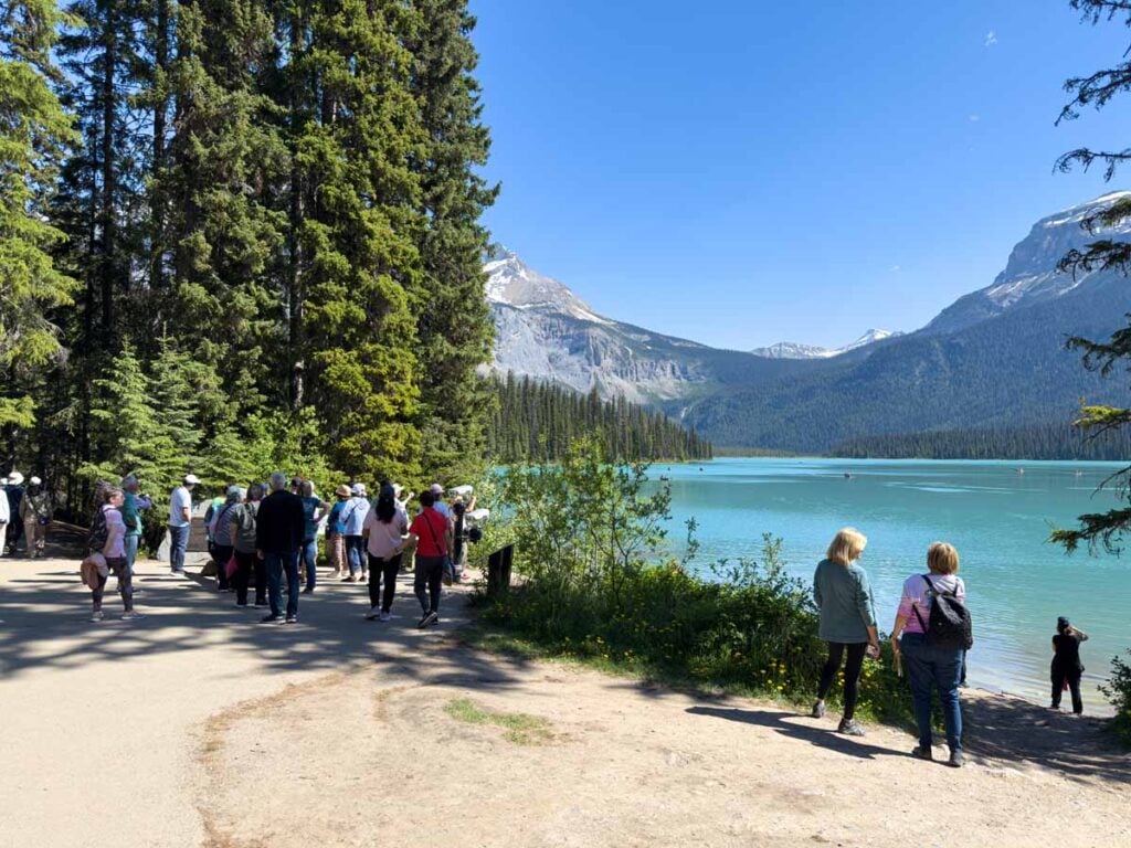 Crowds line the western shore of Emerald Lake in the summer peak season.