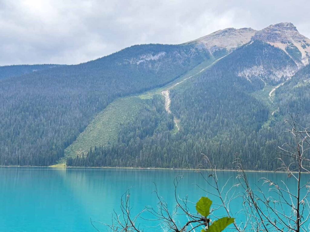 A view of the avalanche track which runs into the Emerald Lakeshore Trail.