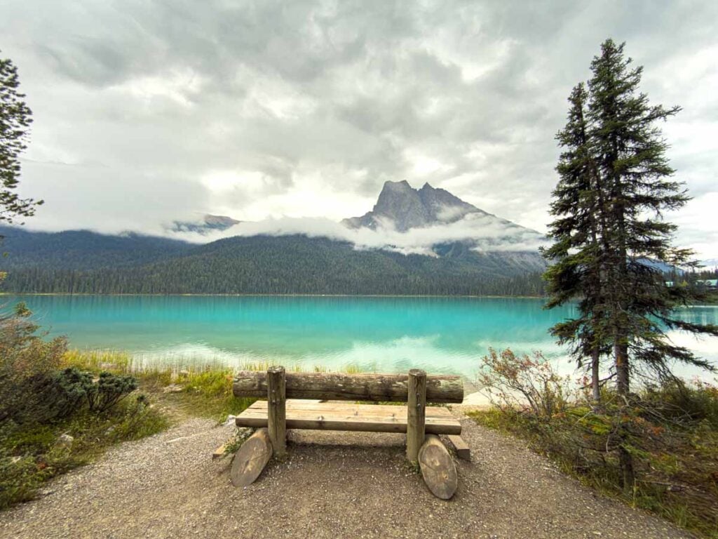 A scenic park bench along the Emerald Lakeshore Trail.