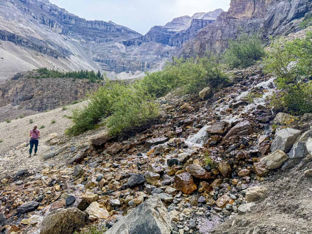 Celine Brewer hikes past a stream in the alpine zone of the Stanley Glacier hike in Kootenay National Park.