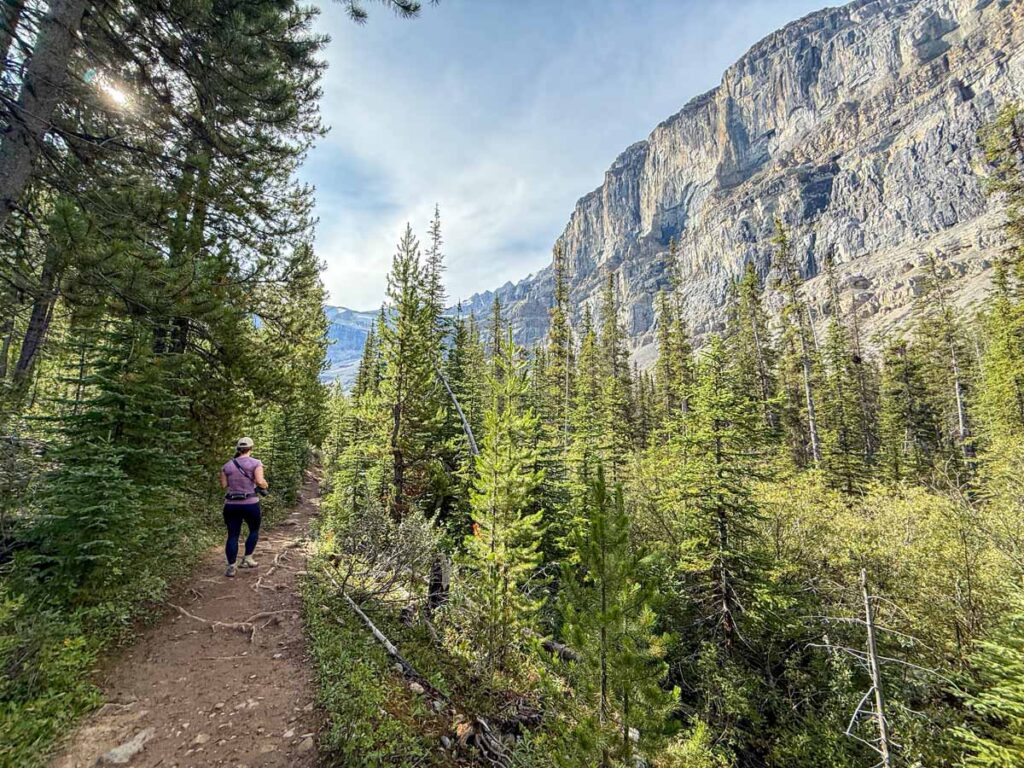 Celine Brewer hikes the Stanley Glacier Trail where the new trees meet old growth forest.