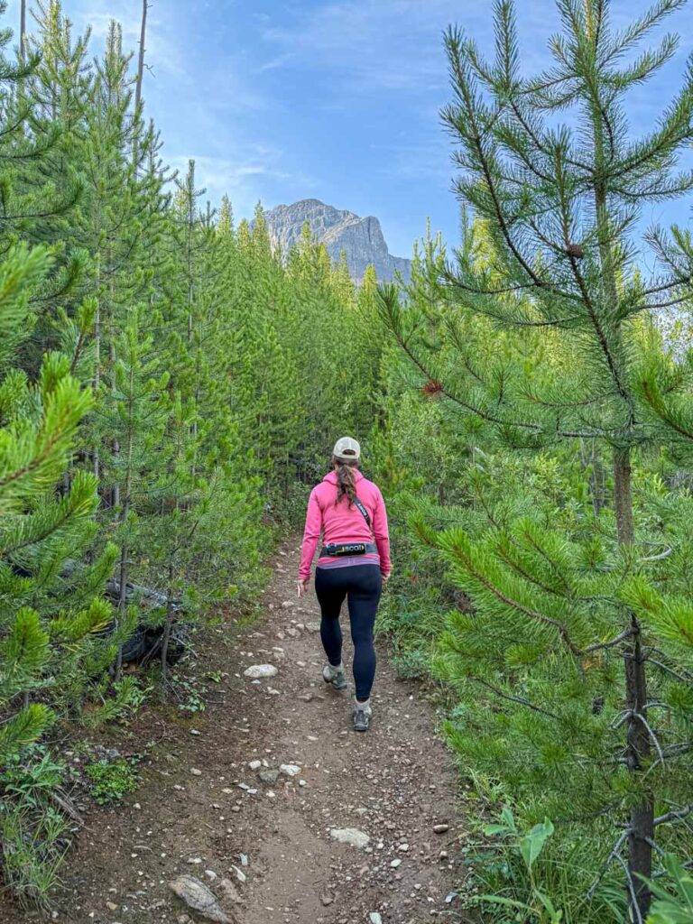 Celine Brewer, host of the Banff Travel Podcast, hikes through new growth pine trees on the Stanley Glacier Trail.