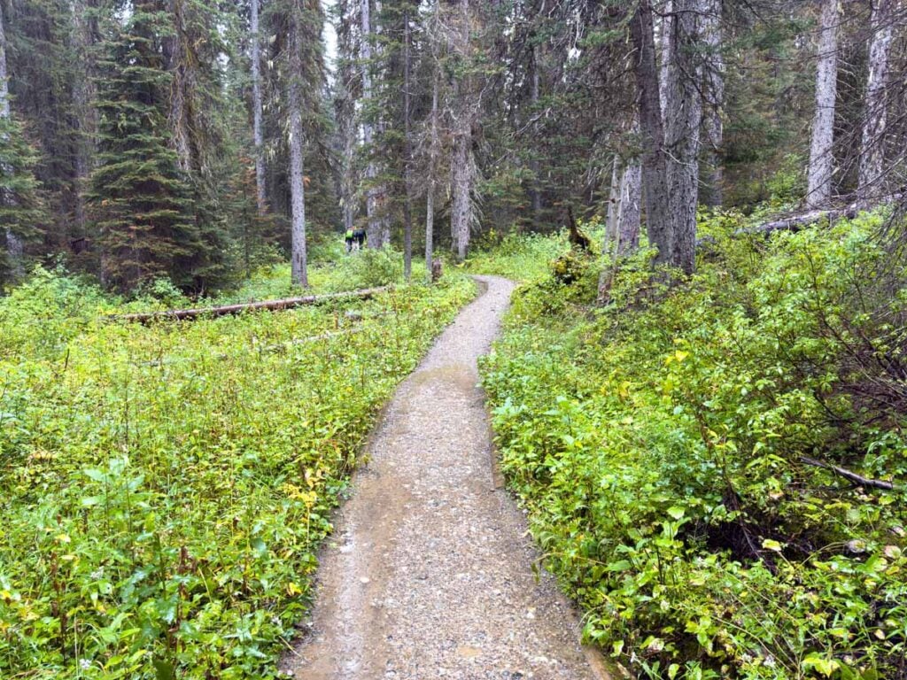The Laughing Falls Trail in Yoho National Park.