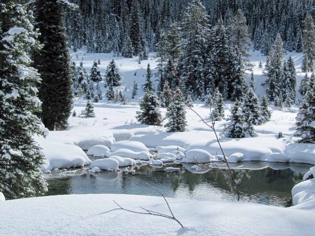 Snow surrounds the still unfrozen Ink Pots in Banff in February.