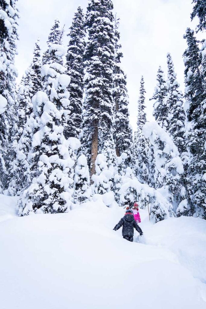 Two Brewer kids walking through deep snow beneath snow-covered trees on a Banff winter outing.