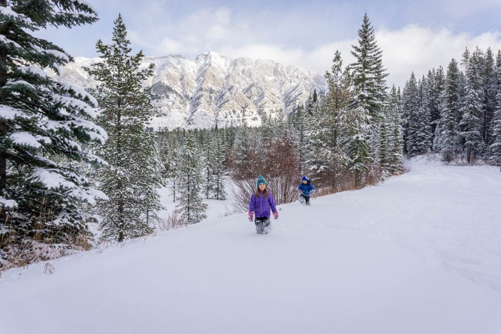 Two Brewer kids on a snowy forest trail with mountain views in Kananaskis.