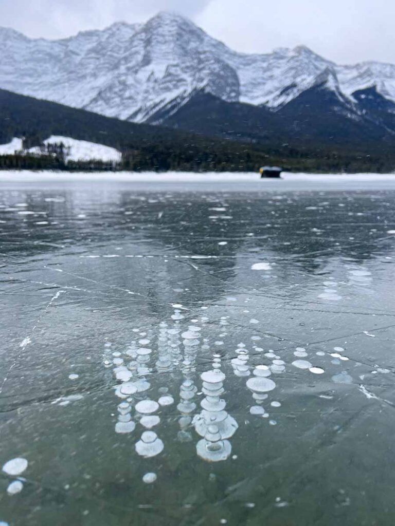 Frozen ice bubbles on the Spray Lakes Reservoir in winter.